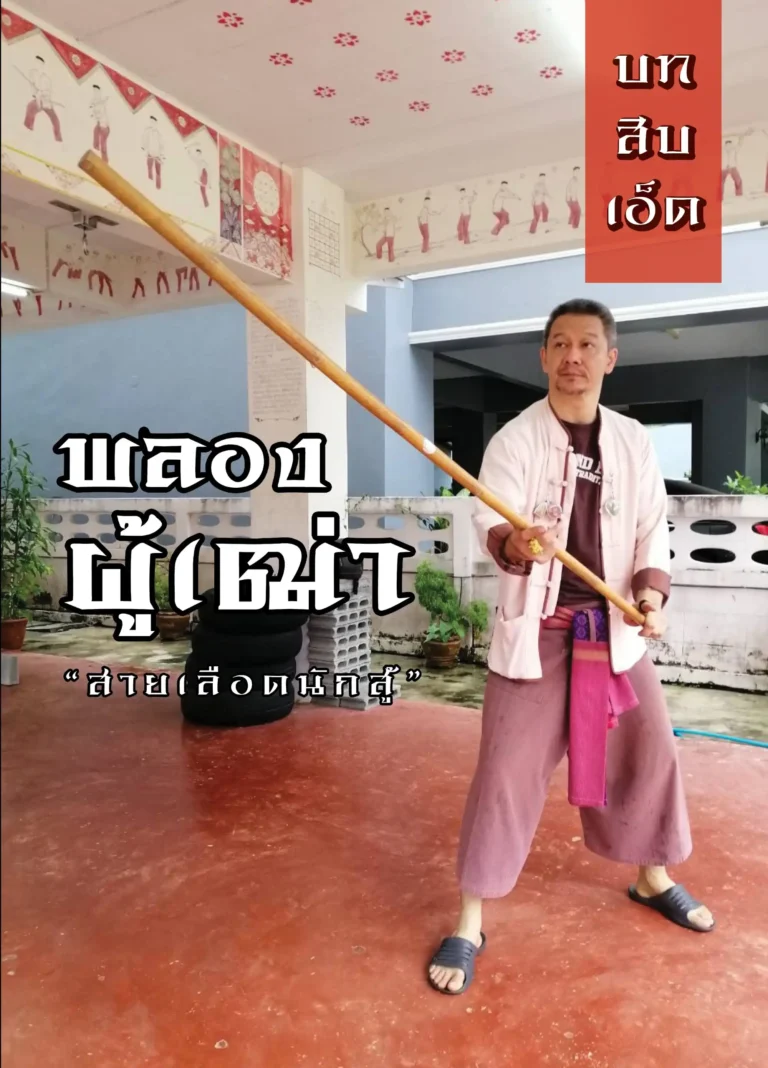 taifudo book11 (Web V)