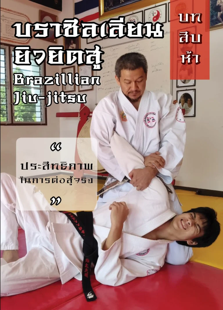 taifudo book15 (Web V)