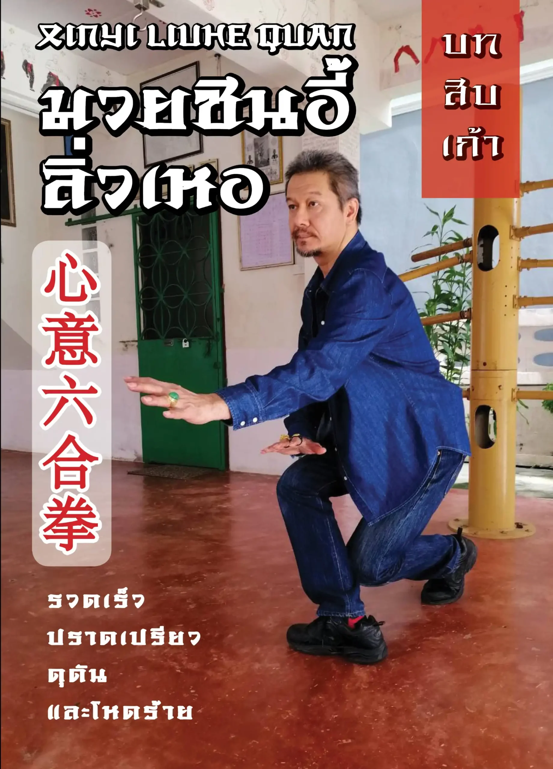 บทที่ 19 มวยซินอี้ลิ่วเหอ รวดเร็ว ปราดเปรียว ดุดันและโหดร้าย 1 taifudo book19 (Web V)