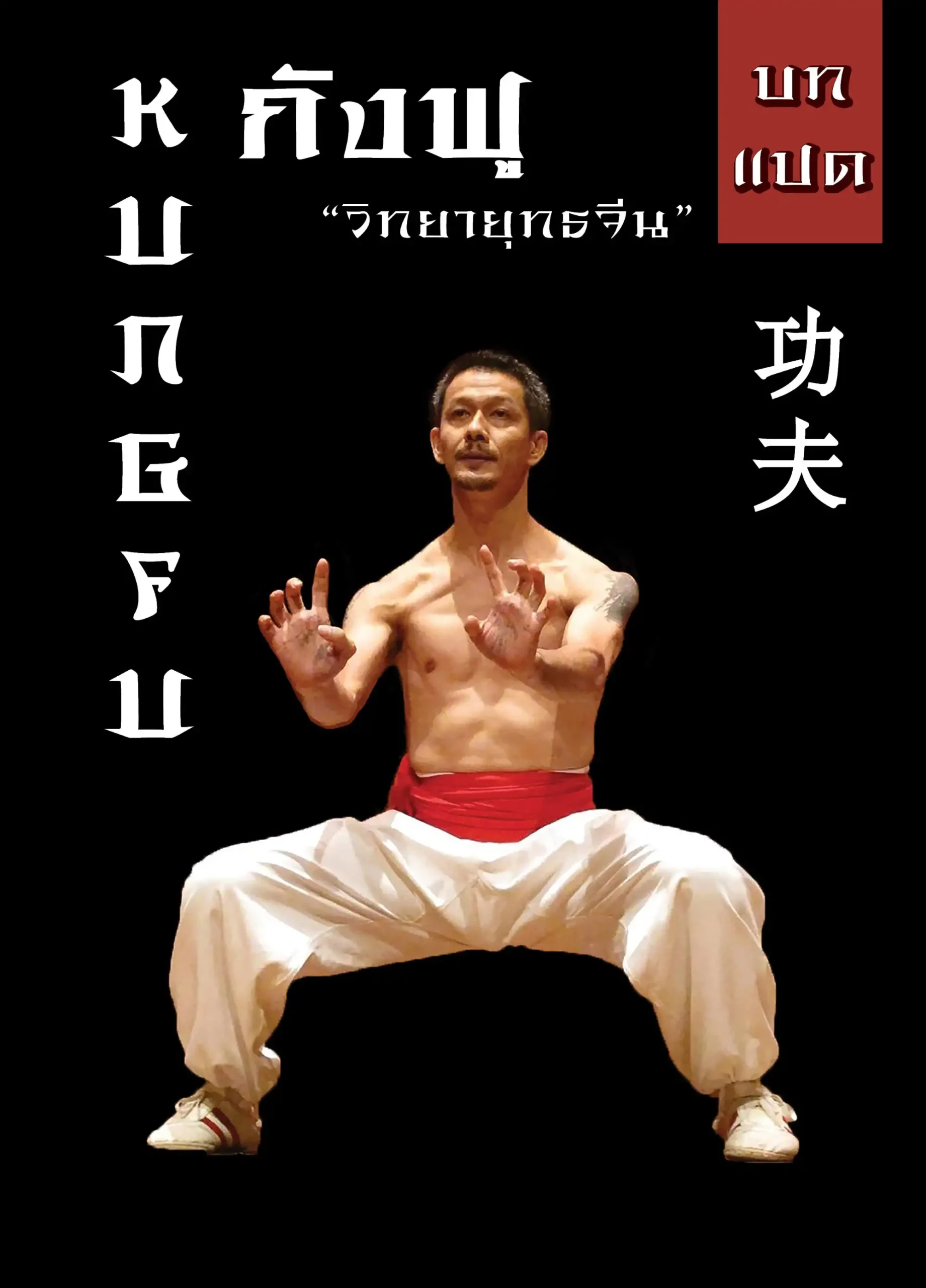 บทที่ 8 กังฟู (Kung Fu) วิทยายุทธจีน 1 taifudo book8 (Web V)