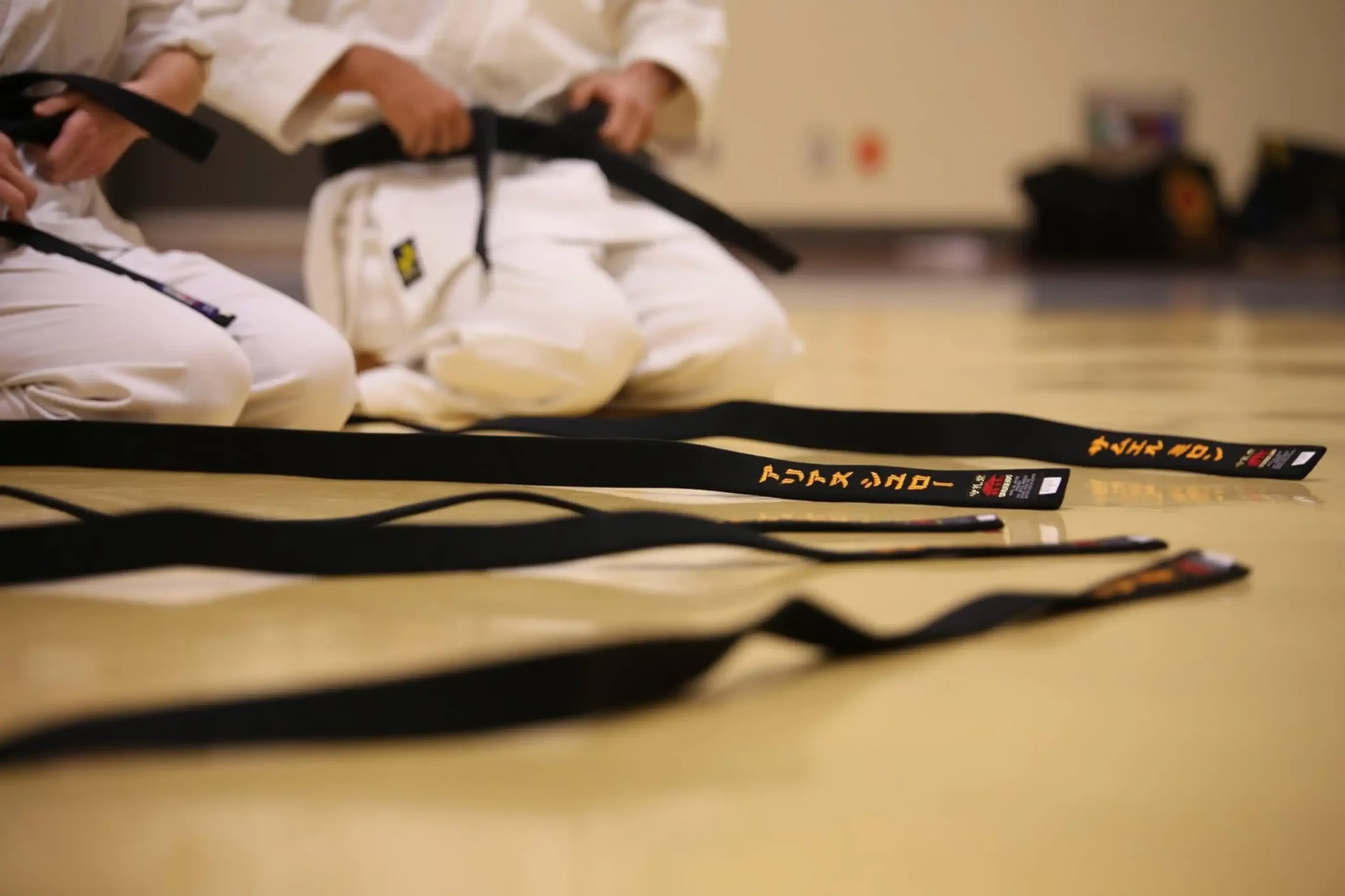 คาราเต้ (Karate) ศิลปะผสมผสานเสริมร่างกายผนึกจิตใจ 1 คาราเต้ (Karate) วิถีมือเปล่า